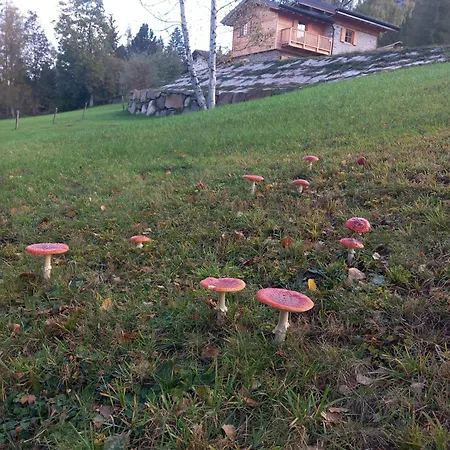 Mas Dei Candidi Baselga di Pinè